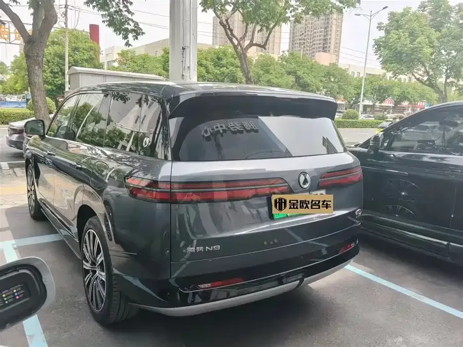 BYD N9 Denza N9 2025 Premium Edition 2025 — миниатюра 3