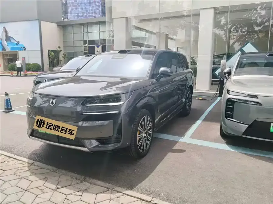 BYD N9 2025