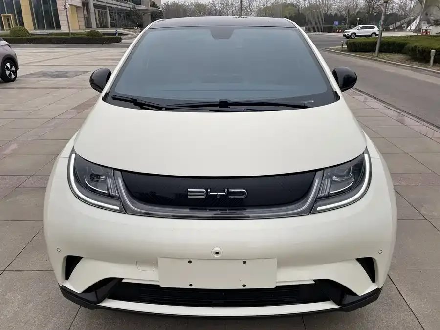 BYD Dolphin 2024
