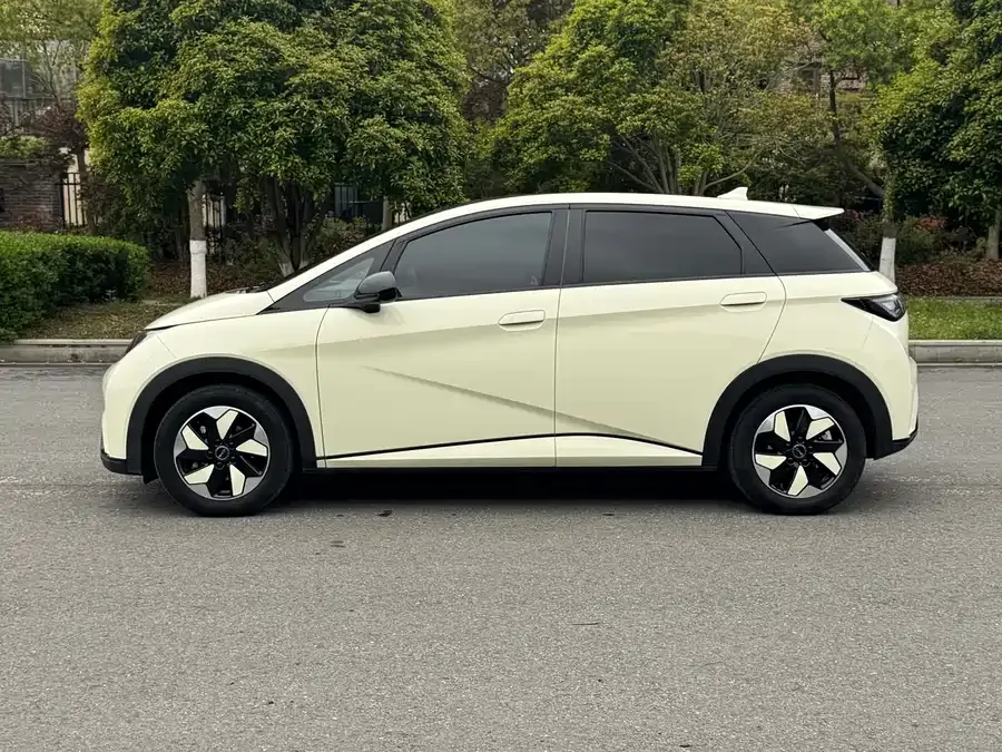 BYD Dolphin Dolphin 2024 Honor Edition 420km Fashion Edition 2024 — миниатюра 4