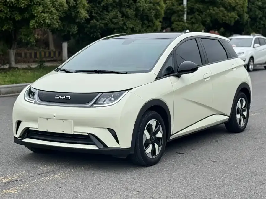 BYD Dolphin 2024