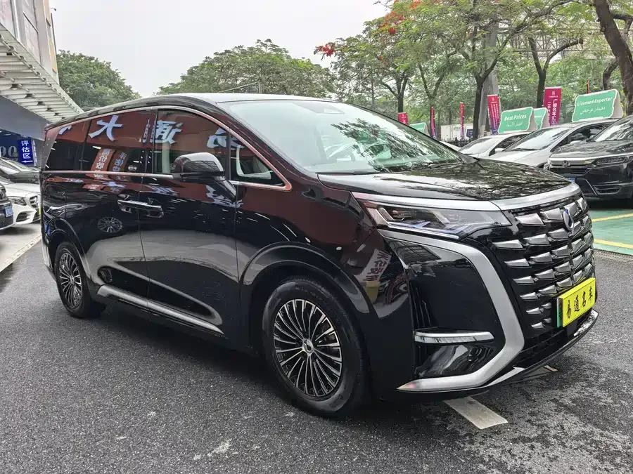 BYD D9 DENZA D9 2022 DM-i 1040 Premium Edition 2023 — миниатюра 2
