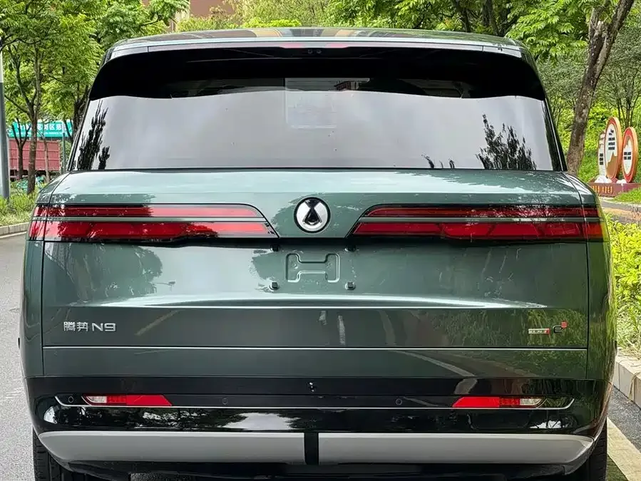 BYD N9 Denza N9 2025 flagship model 2025 — миниатюра 3