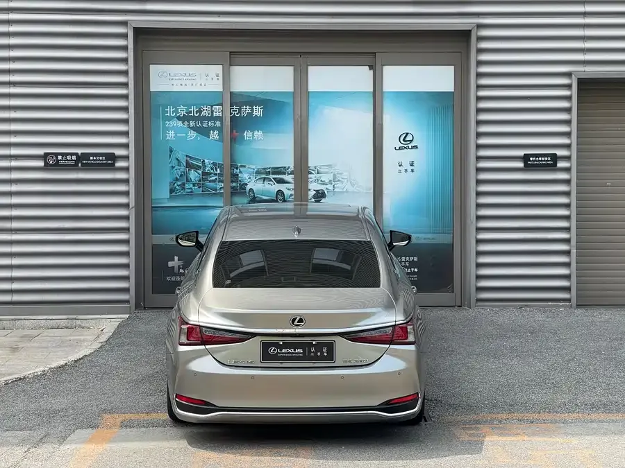 Lexus ES 2022 260 Excellence Edition 2022 — миниатюра 3