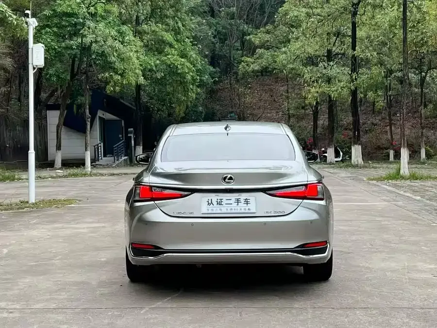 Lexus ES 2022 200 Excellence Edition 2022 — миниатюра 5