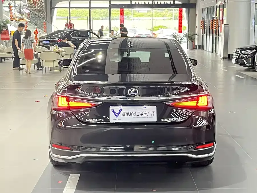 Lexus ES 2021 300h Excellence Edition 2022 — миниатюра 5