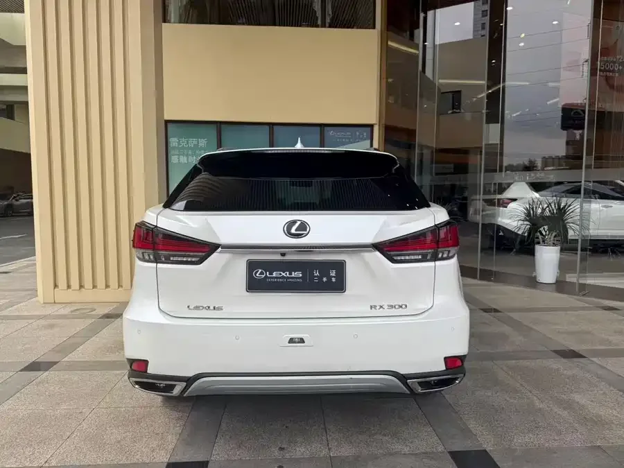 Lexus RX 2020 facelift 300 four-wheel drive elegant version 2022 — миниатюра 3