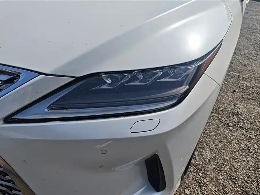 Lexus RX 2021 300 four-wheel drive special edition 2022 — миниатюра 5