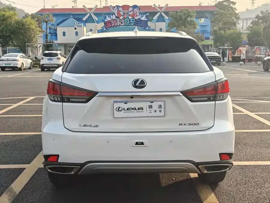 Lexus RX 2020 300 four-wheel drive elegant version country VI 2022 — миниатюра 4
