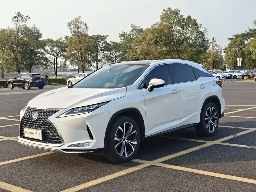 Lexus RX 2020 300 four-wheel drive elegant version country VI 2022 — фото 1, купить с доставкой в Москву