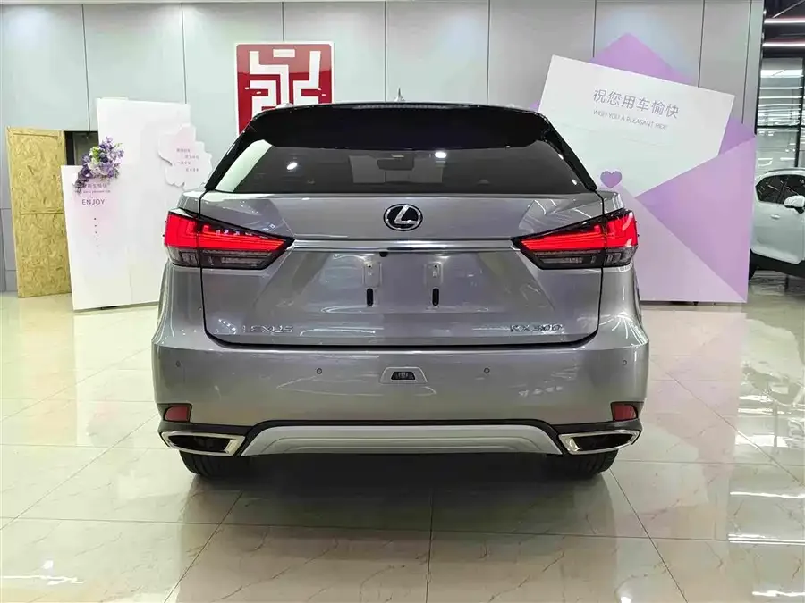 Lexus RX 2020 300 two-wheel drive elite version China VI 2022 — миниатюра 2