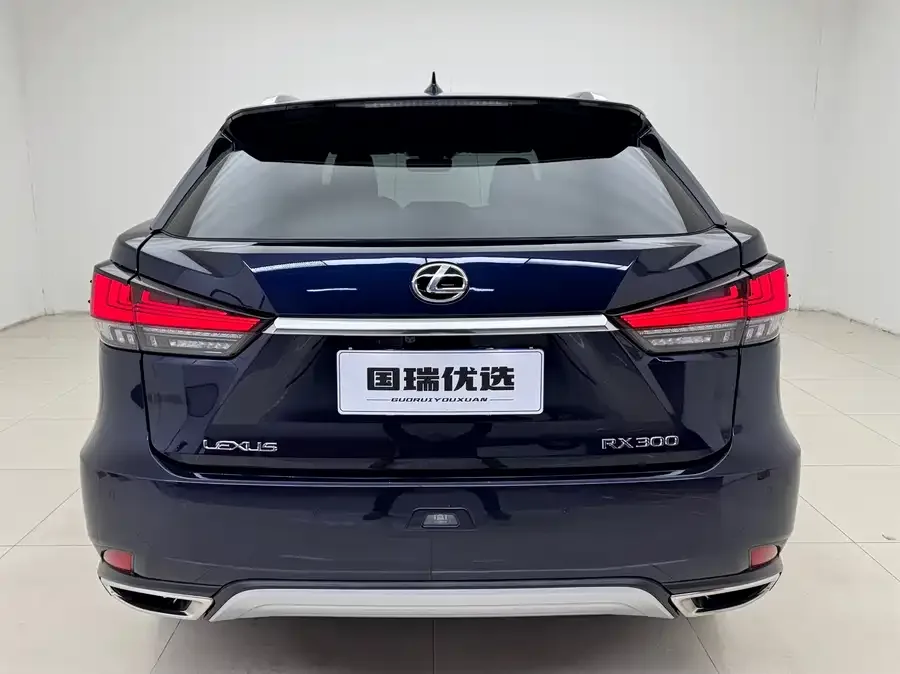 Lexus RX 2020 300 four-wheel drive elegant version country VI 2022 — миниатюра 2