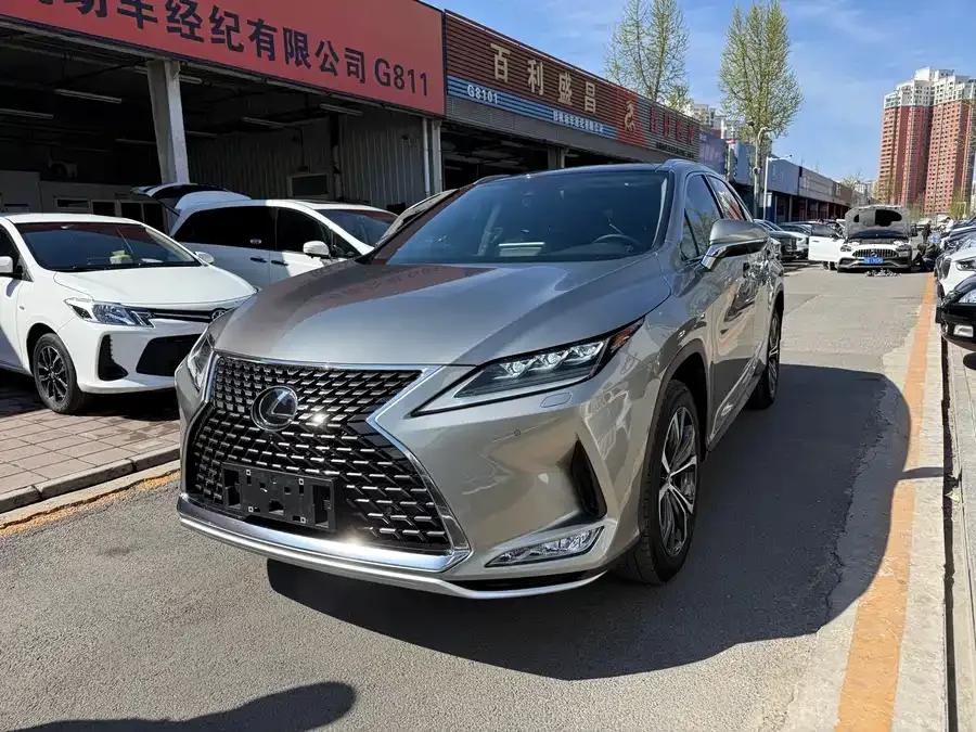 Lexus RX 2020 facelift 300 four-wheel drive elegant version 2022 — фото 1, купить с доставкой в Москву