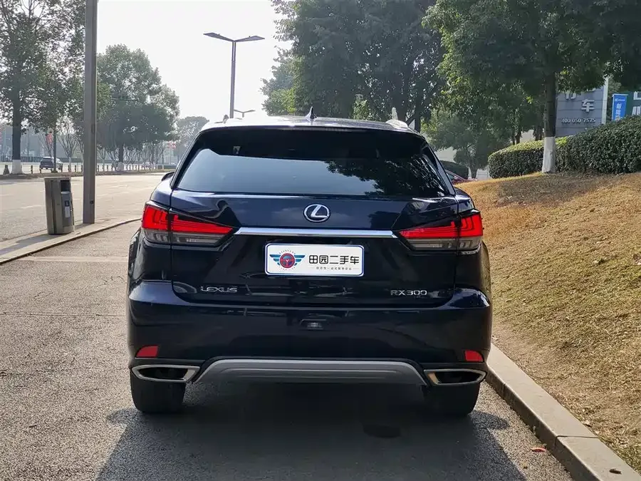 Lexus RX 2020 facelift 300 four-wheel drive elegant version 2022 — миниатюра 2