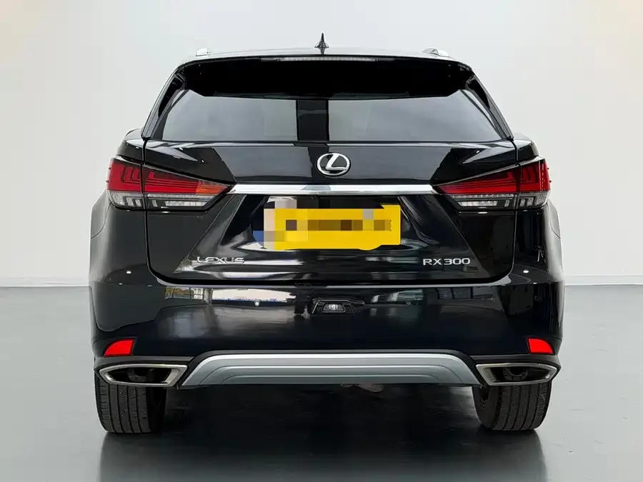 Lexus RX 2020 300 four-wheel drive elegant version country VI 2022 — миниатюра 2