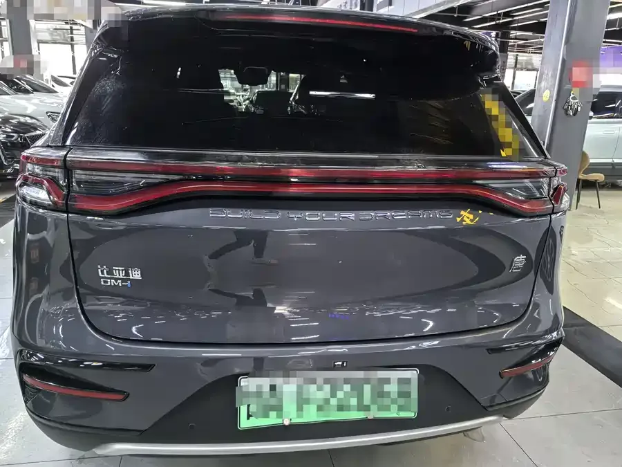 BYD Tang New Energy Tang New Energy 2021 DM-i 112KM Premium Edition 2022 — миниатюра 2