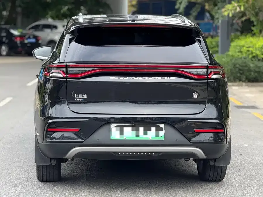 BYD Tang New Energy Tang New Energy 2021 DM-i 112KM Premium Edition 2022 — миниатюра 2