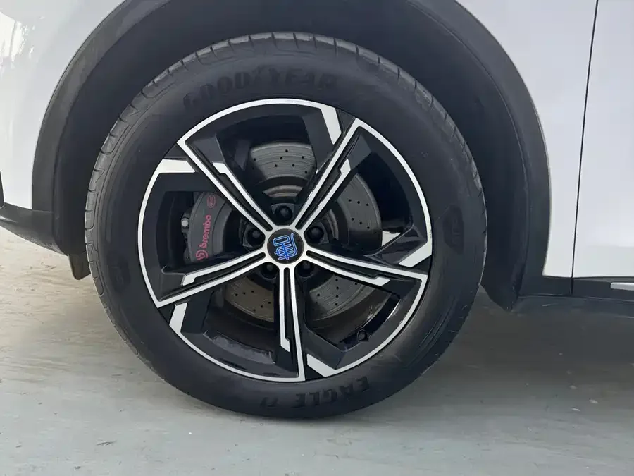 BYD Tang New Energy Tang New Energy 2021 DM 2.0T 4WD High Performance Edition Premium Edition 2022 — миниатюра 2
