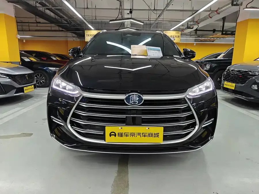 BYD Tang New Energy 2022