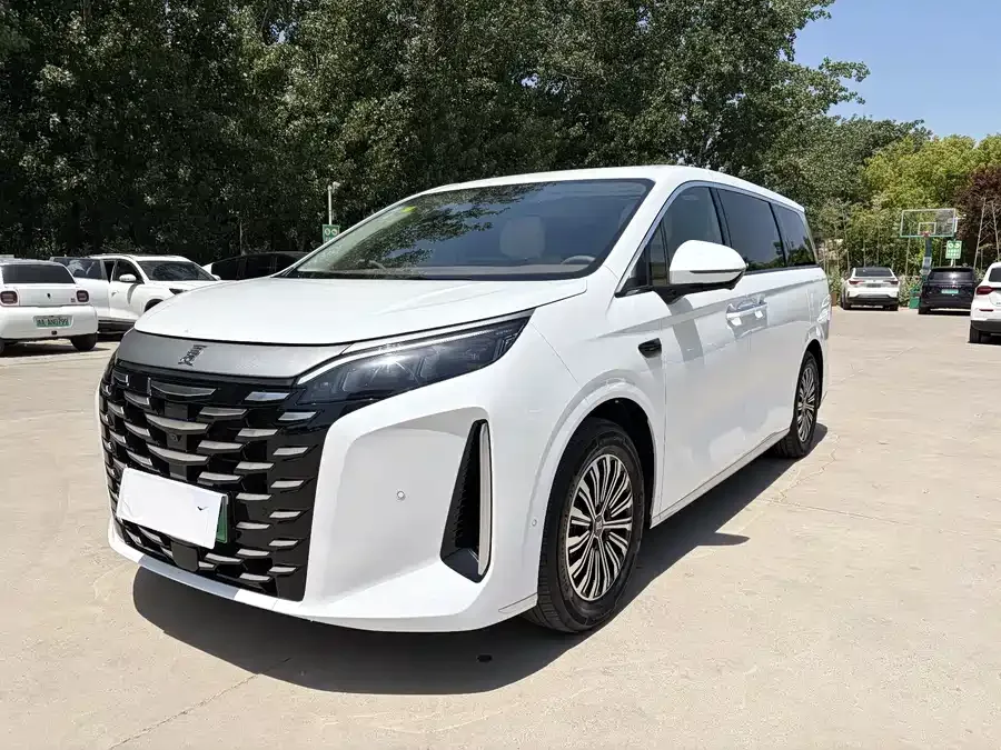 BYD summer 2025