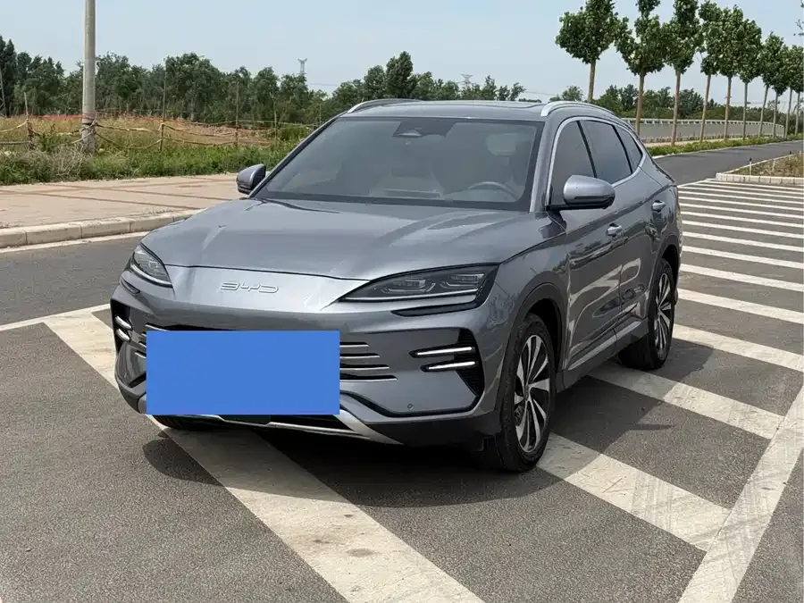 BYD Song PLUS New Energy 2024