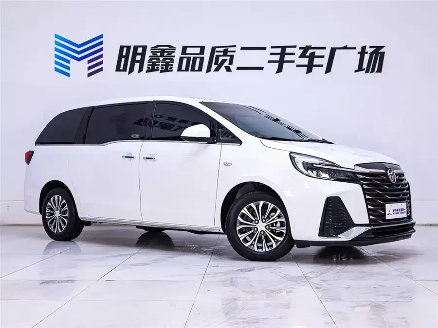 Buick GL8 2023 facelift land business class luxury model 2023 — миниатюра 2