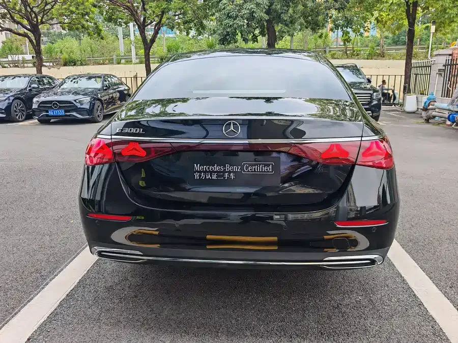 Mercedes-Benz E-Class Mercedes-Benz E-Class 2024 E 300 L Luxury Edition 2024 — миниатюра 5