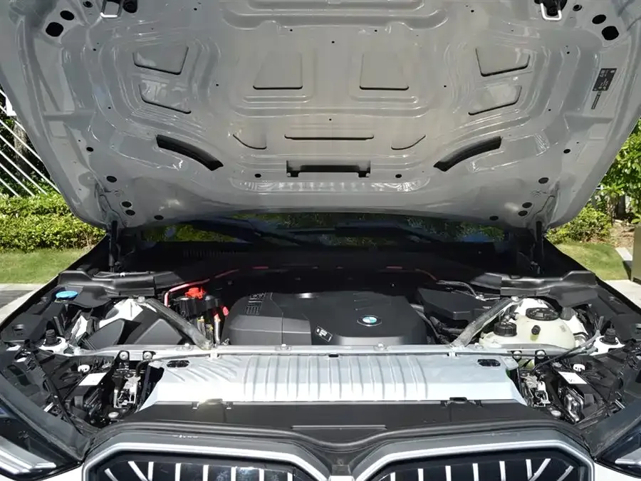 BMW X3 2025 xDrive30L Leading M Sport Night Edition 2025 — миниатюра 4