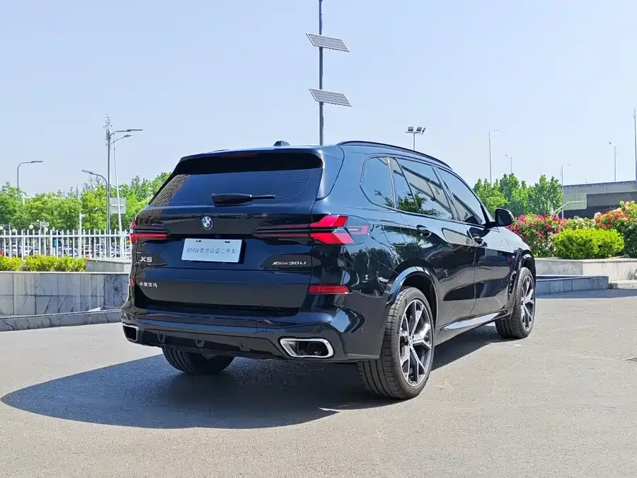BMW X5 2025 xDrive 30Li Exclusive M Sport Night Edition 2025 — миниатюра 2