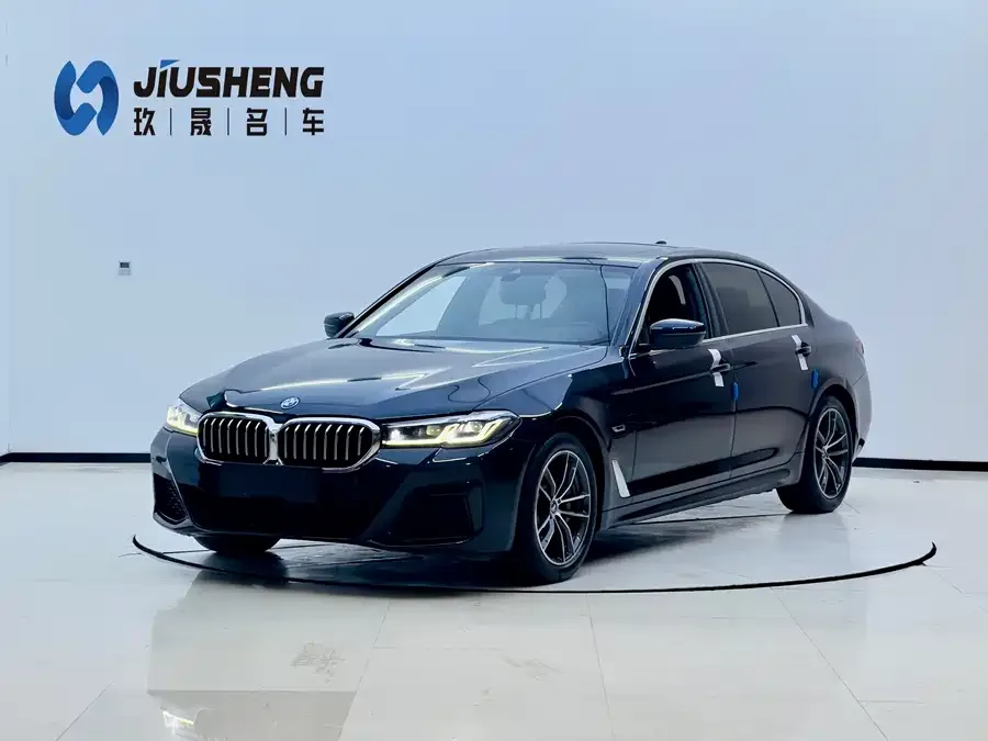 BMW 5 Series New Energy 2022