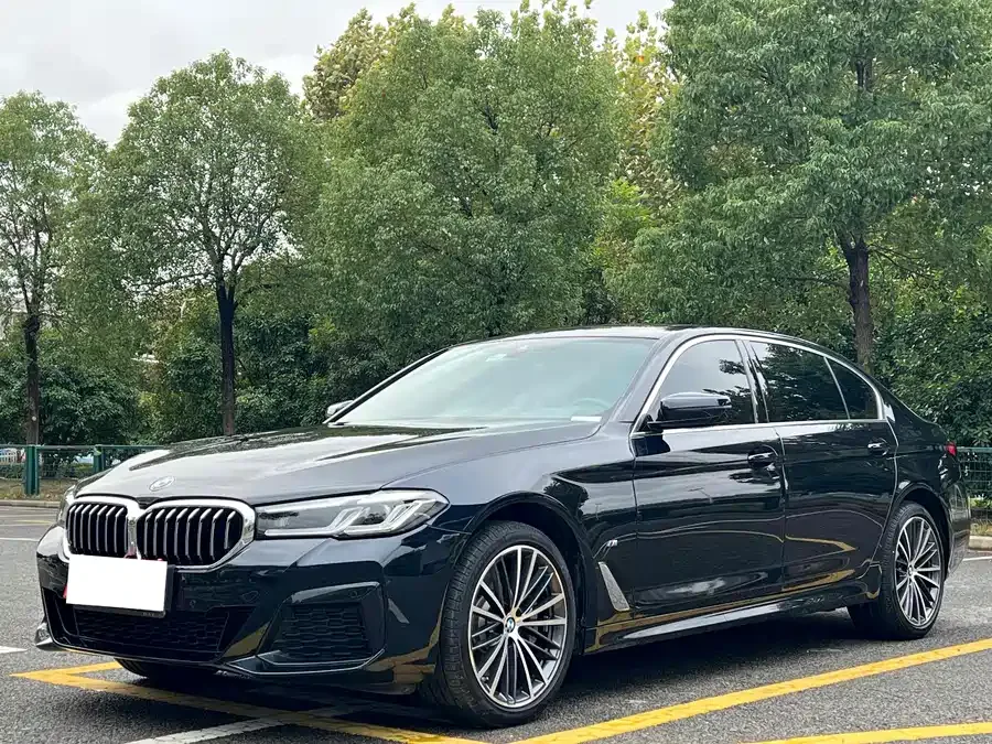 BMW 5 Series BMW 5 Series 2022 530Li Leading M Sport Package 2022 — фото 1, купить с доставкой в Москву