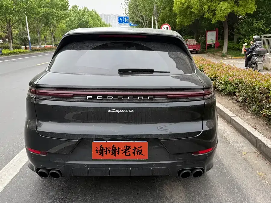 Porsche Cayenne Cayenne 2025 Cayenne 3.0T 2025 — миниатюра 2