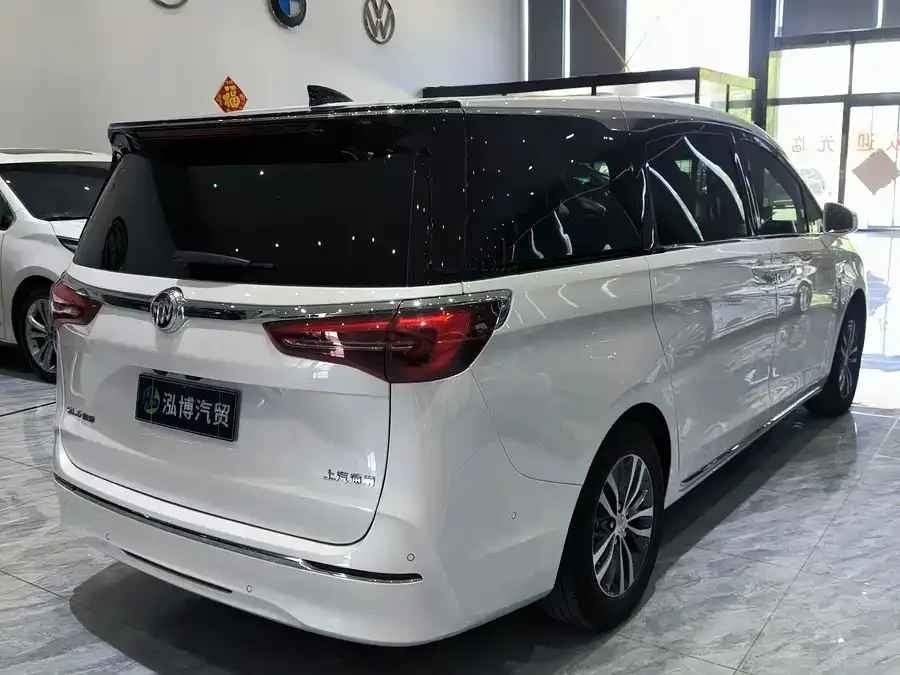 Buick GL8 2023 ES Lu Zun Premium Edition 2024 — миниатюра 3