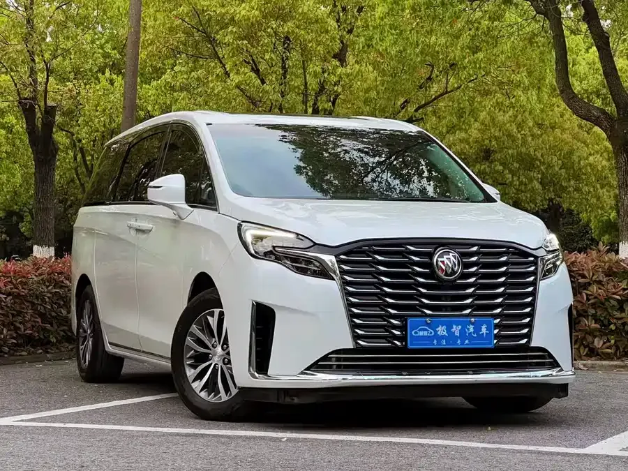 Buick GL8 2023 ES Lu Zun Comfort Edition 2023 — миниатюра 3