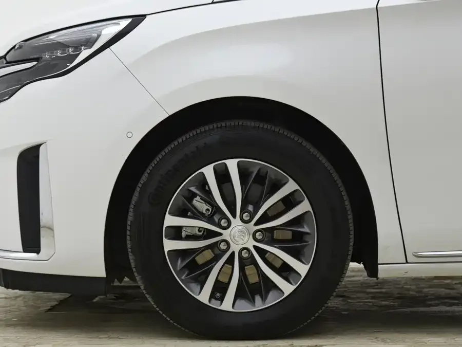 Buick GL8 2023 ES Lu Zun Premium Edition Heyue Edition 2023 — миниатюра 2