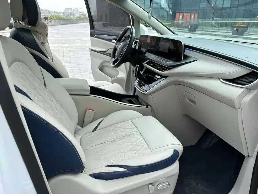 Buick GL8 2023 ES Lu Zun Premium Edition 2023 — миниатюра 5