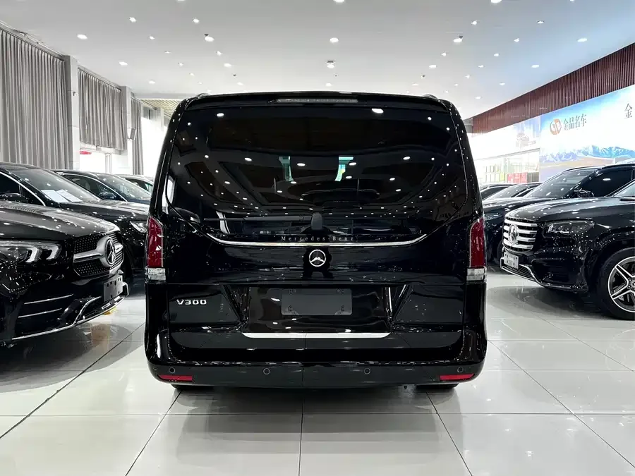 Mercedes-Benz Class V Mercedes-Benz V-Class 2024 V 300 Premium Edition 2025 — миниатюра 2