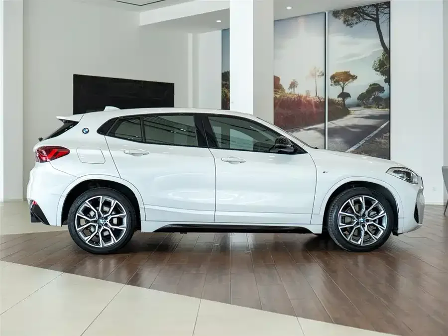 BMW X2 2021 sDrive25i Exclusive M Sport Package 2022 — миниатюра 2