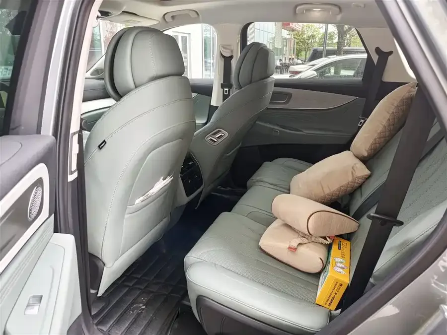 Chery Fengyun T10 Fengyun T10 2024 210 Luxury Edition 2024 — миниатюра 2