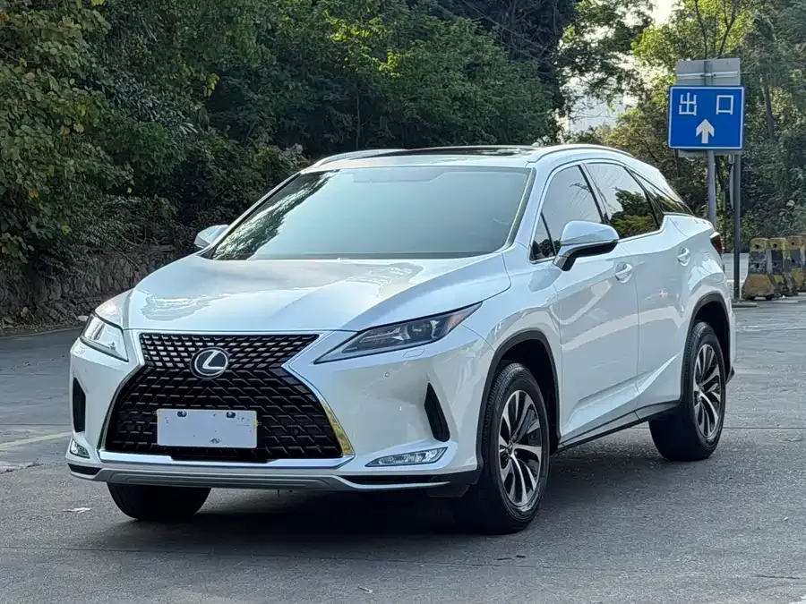 Lexus RX 2020 facelift 300 two-wheel drive elite version 2022 — фото 1, купить с доставкой в Москву