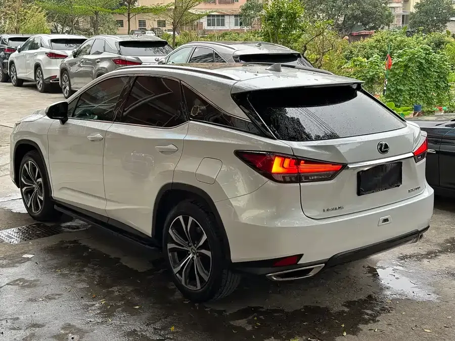 Lexus RX 2021 300 four-wheel drive special edition 2022 — миниатюра 3