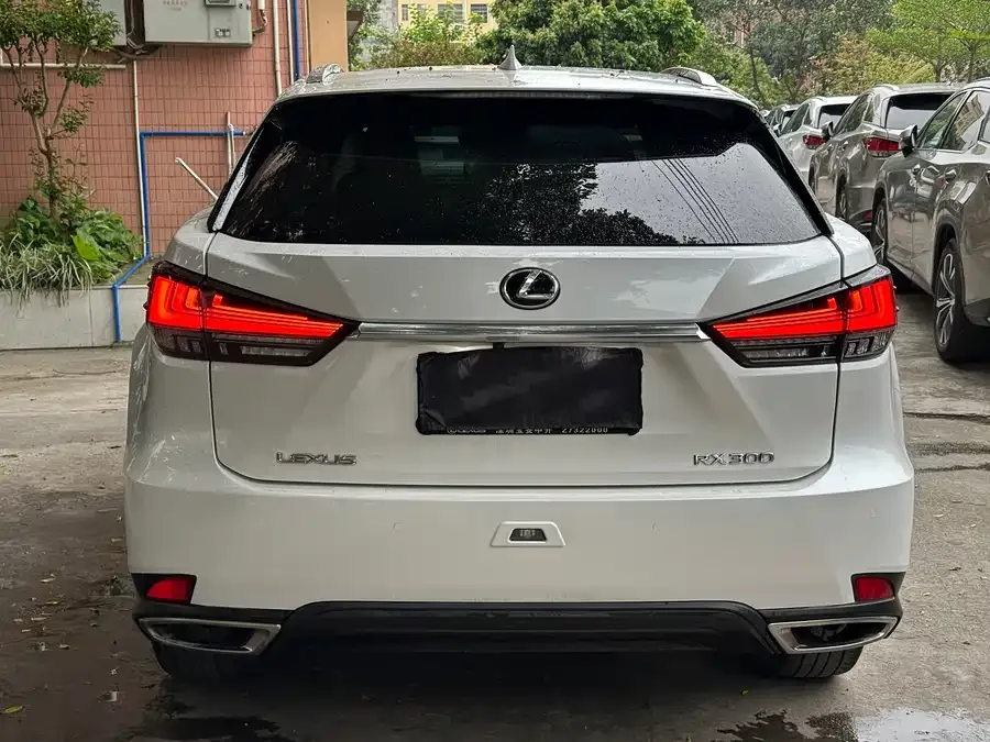 Lexus RX 2021 300 four-wheel drive special edition 2022 — миниатюра 5