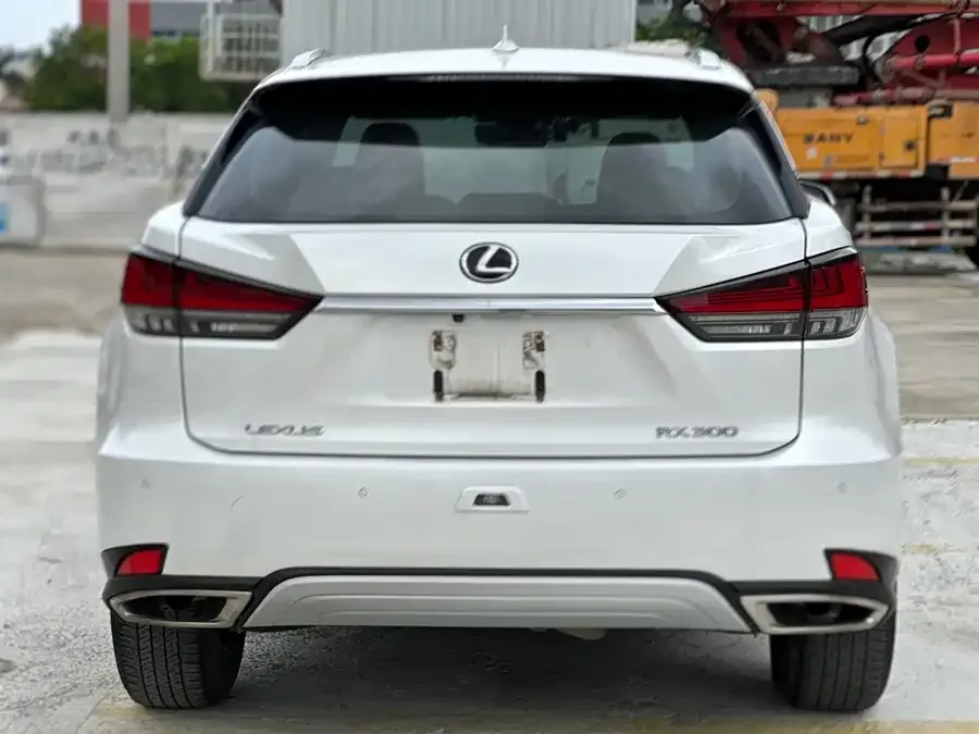Lexus RX 2020 300 two-wheel drive comfort version China VI 2022 — миниатюра 5