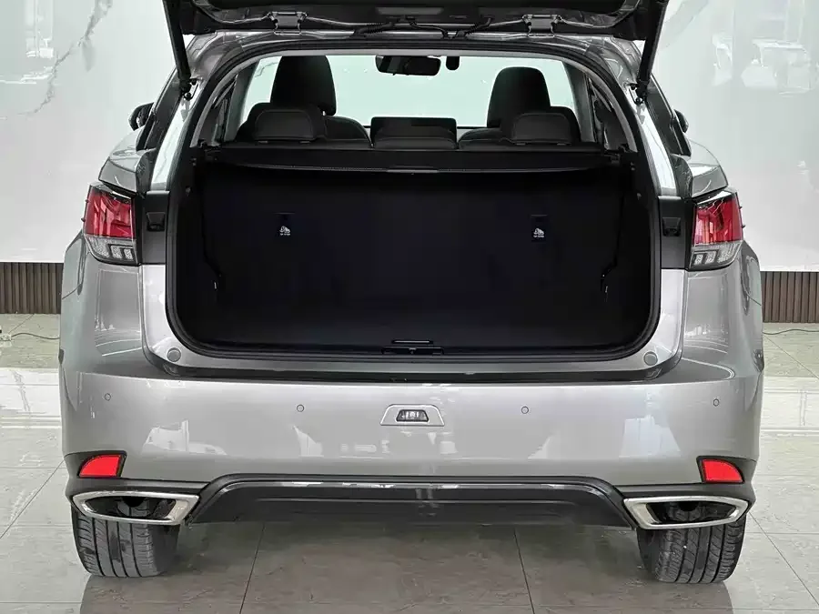 Lexus RX 2021 300 four-wheel drive special edition 2022 — миниатюра 5