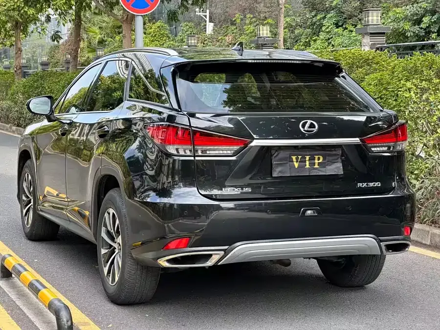 Lexus RX 2020 300 two-wheel drive comfort version China VI 2022 — миниатюра 3