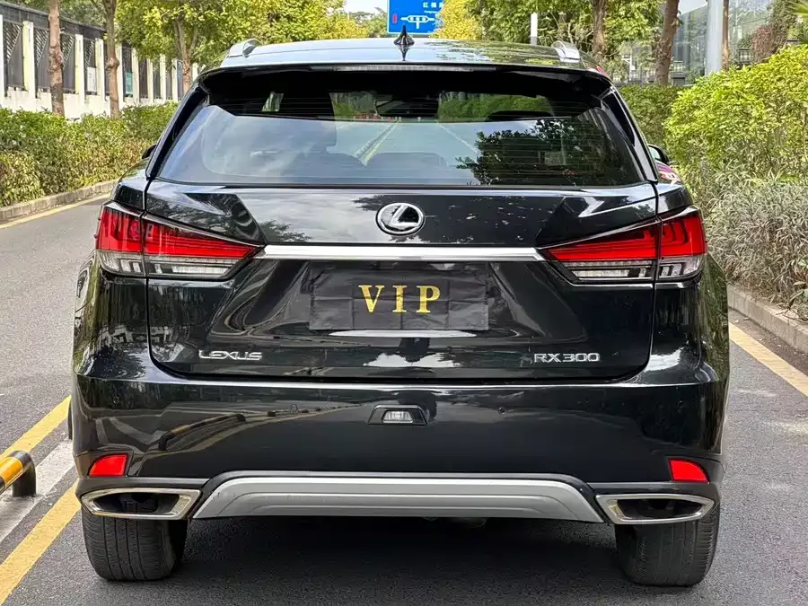 Lexus RX 2020 300 two-wheel drive comfort version China VI 2022 — миниатюра 5