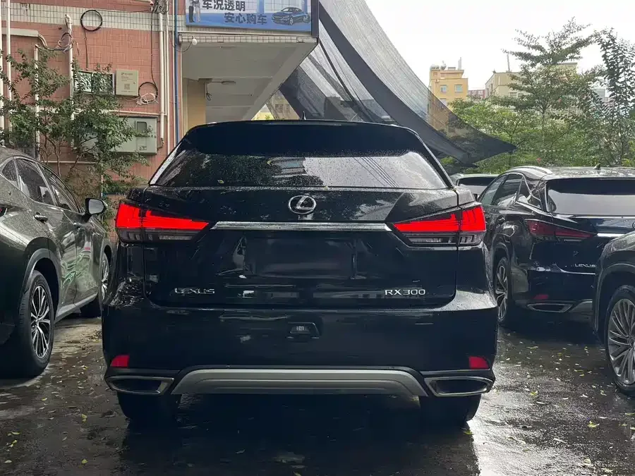 Lexus RX 2020 300 four-wheel drive elegant version country VI 2022 — миниатюра 3