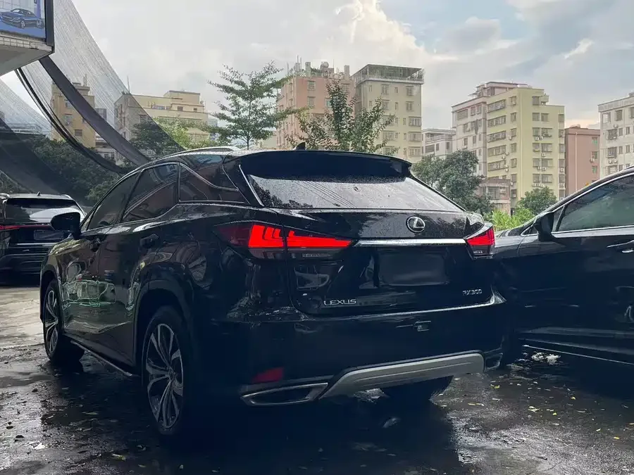 Lexus RX 2020 300 four-wheel drive elegant version country VI 2022 — миниатюра 5
