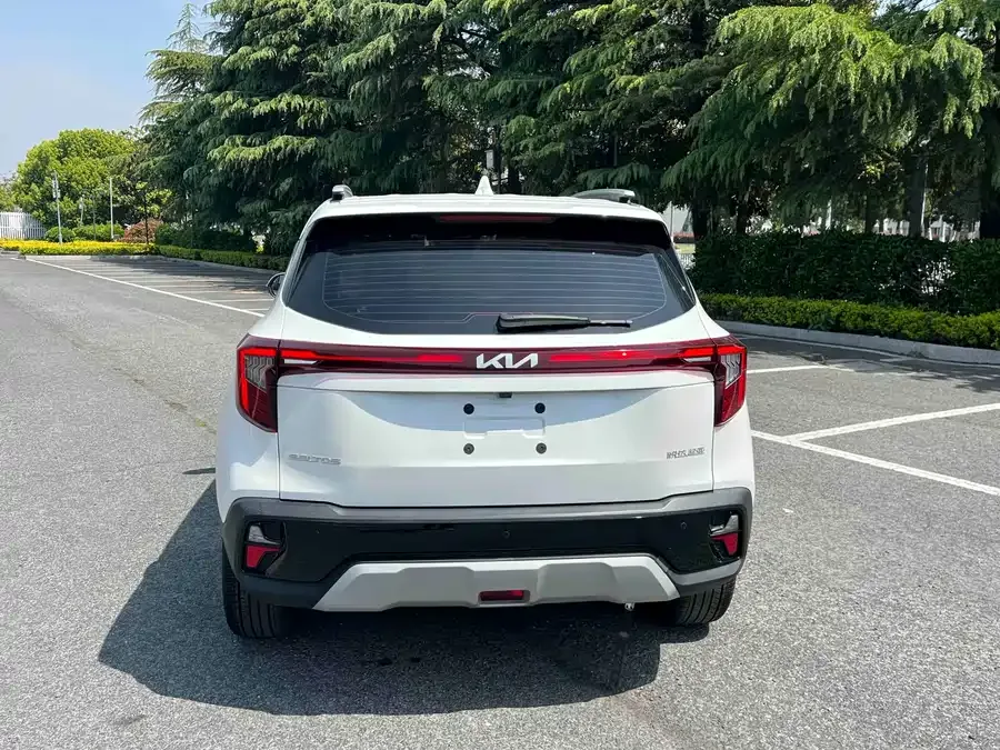 Kia Cyrus (Seltos) 2023 Certus 1.5L CVT Luxury Edition 2024 — миниатюра 4