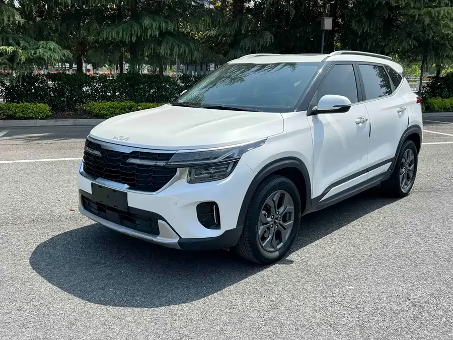 Kia Cyrus (Seltos) 2024